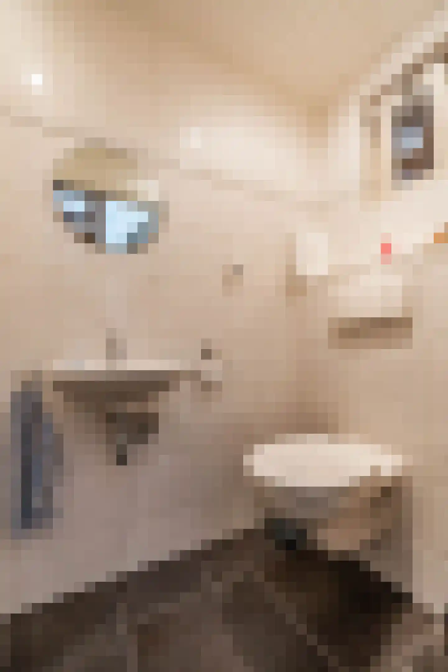 Hoogakkers 4 Eext thumbnail 24
