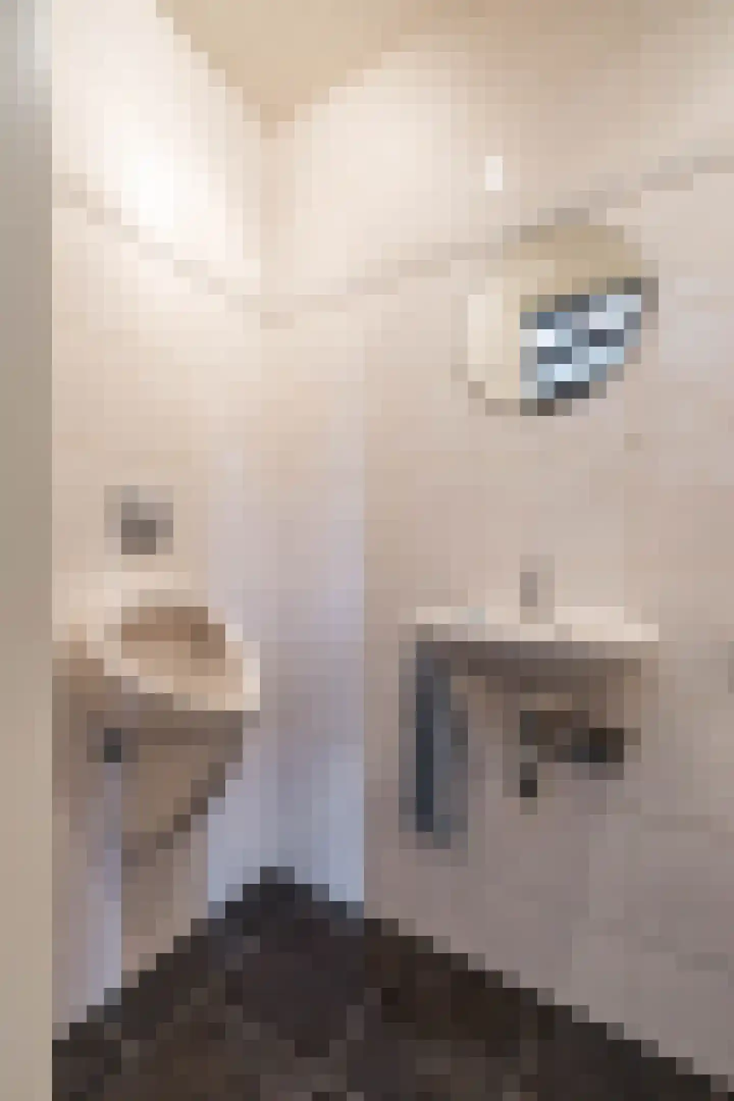 Hoogakkers 4 Eext thumbnail 25