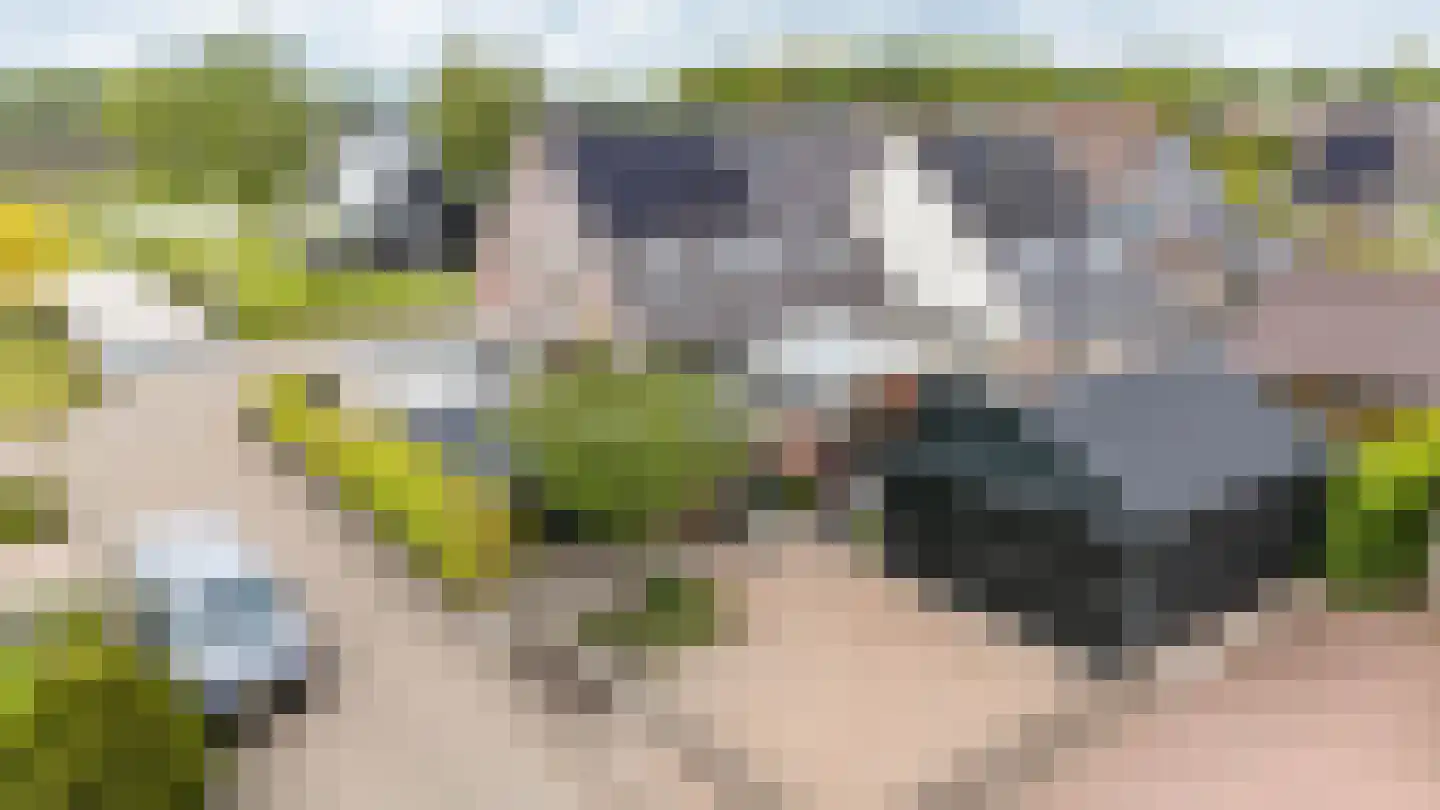 Hoogakkers 4 Eext foto 3