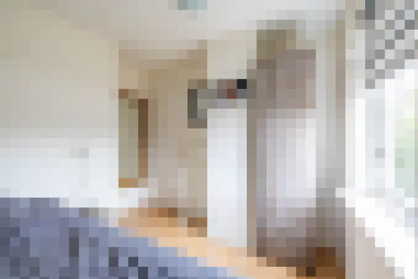 Hoogakkers 4 Eext thumbnail 35