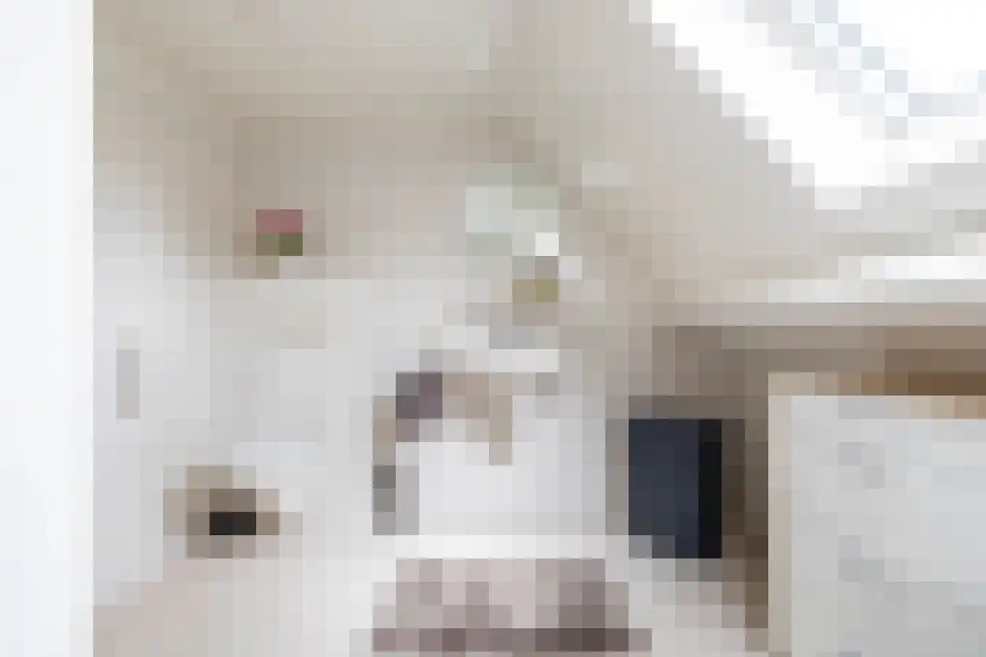 Hoogakkers 4 Eext thumbnail 39