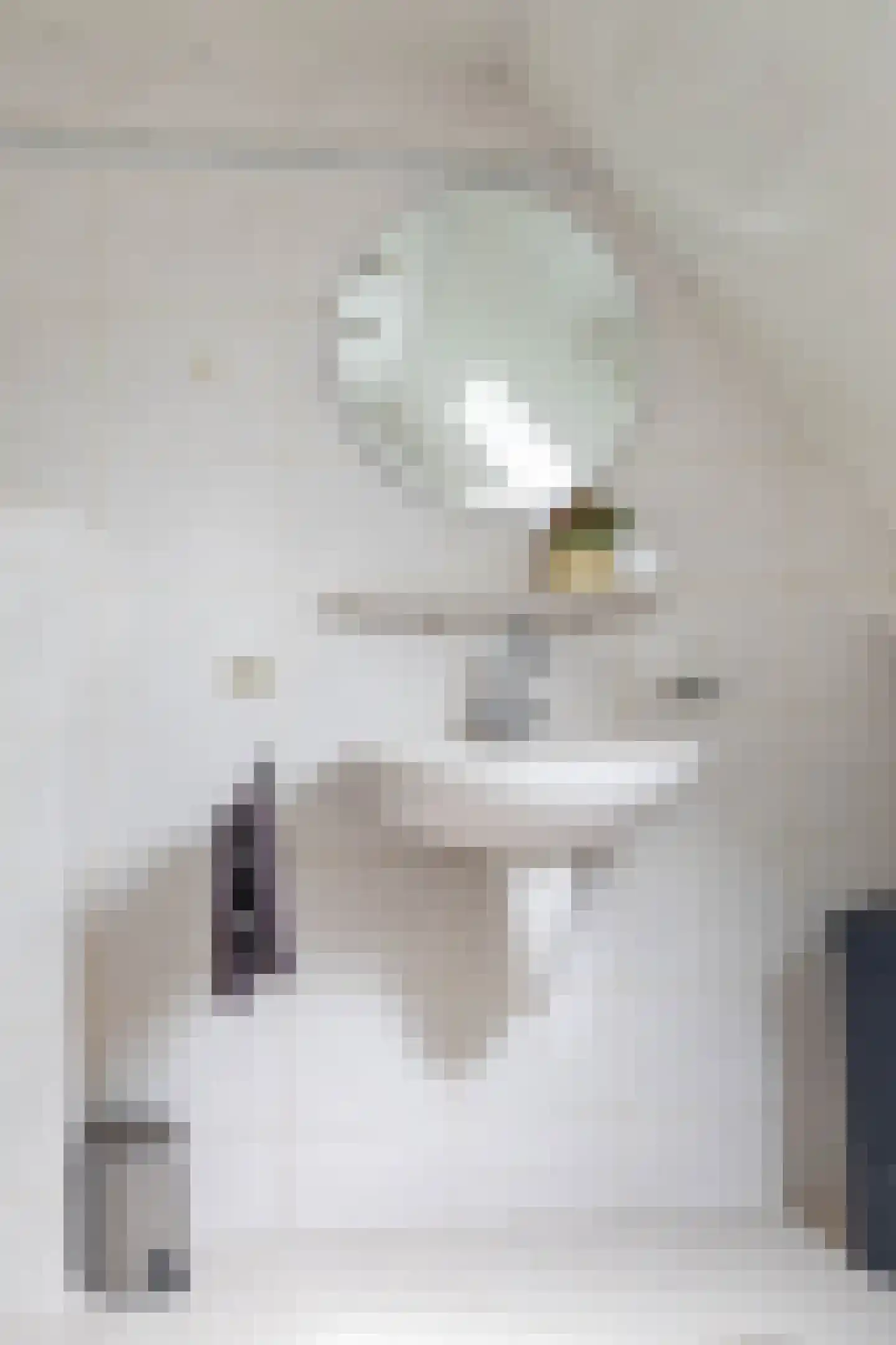 Hoogakkers 4 Eext thumbnail 40