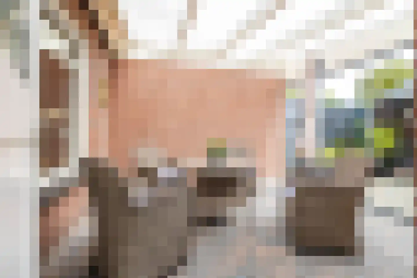 Hoogakkers 4 Eext thumbnail 43