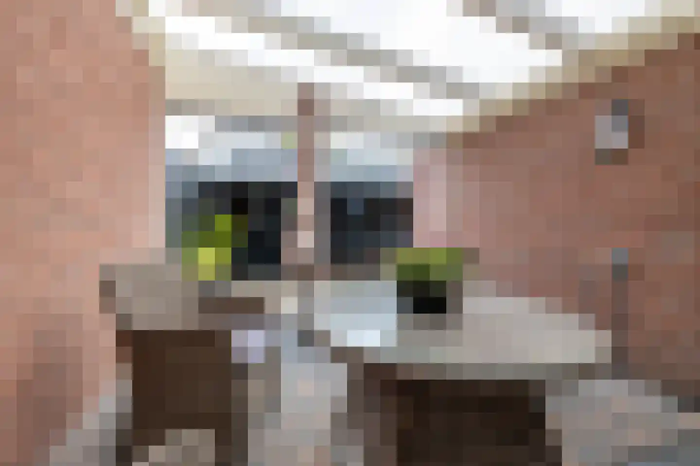 Hoogakkers 4 Eext thumbnail 45