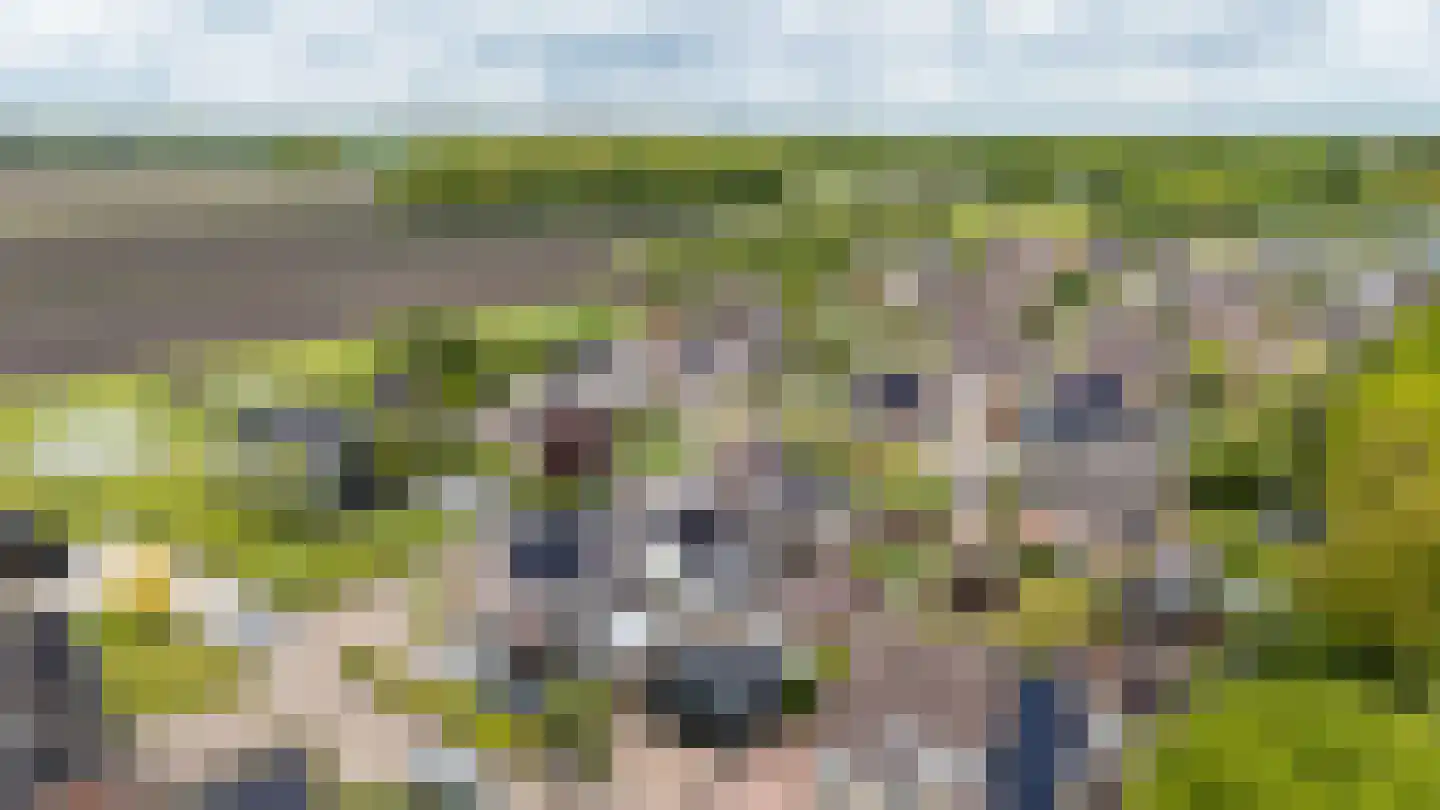 Hoogakkers 4 Eext thumbnail 57