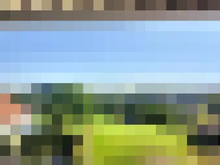 Hoogbeek 28 D Schin op Geul thumbnail 11