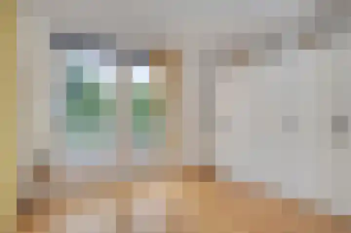 Hoogbeek 28 D Schin op Geul thumbnail 19