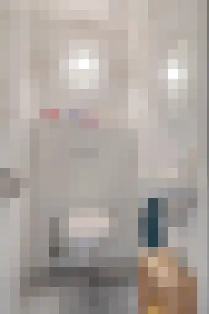 Hoogbeek 28 D Schin op Geul thumbnail 20