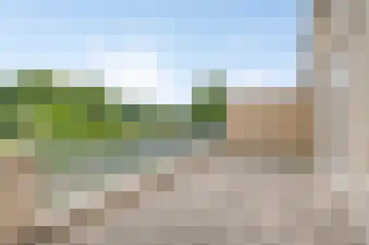 Hoogbeek 28 D Schin op Geul thumbnail 21