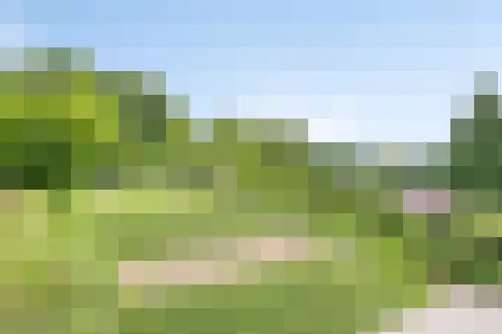Hoogbeek 28 D Schin op Geul thumbnail 23