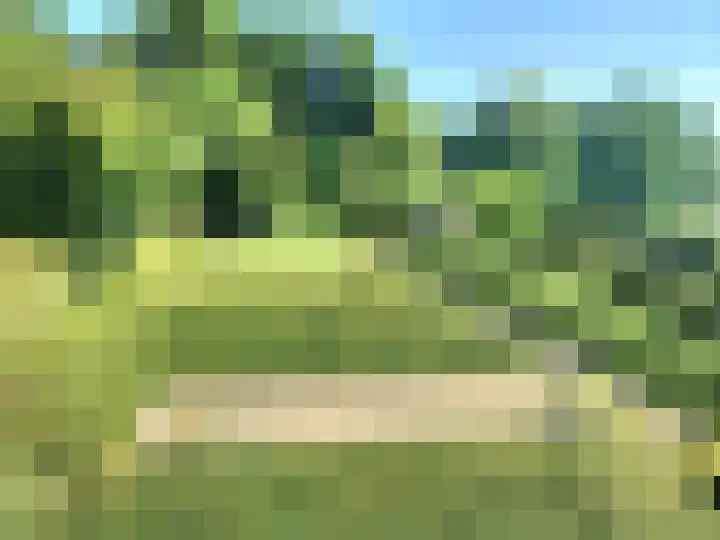 Hoogbeek 28 D Schin op Geul thumbnail 24