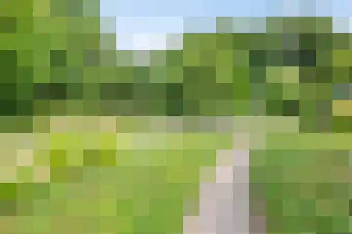 Hoogbeek 28 D Schin op Geul thumbnail 26