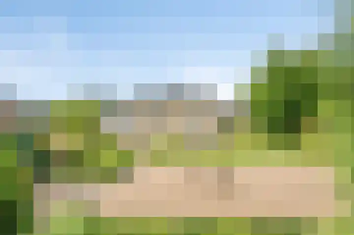 Hoogbeek 28 D Schin op Geul thumbnail 27