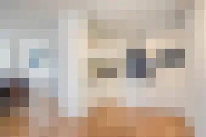 Hoogbeek 28 D Schin op Geul thumbnail 7
