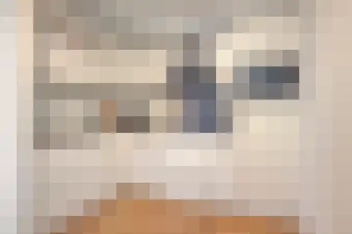 Hoogbeek 28 D Schin op Geul thumbnail 8