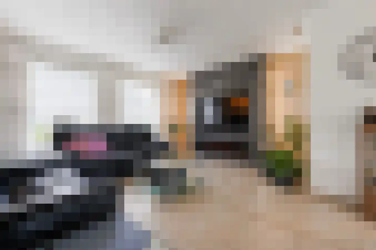Hoogbeek 3 Sint-Michielsgestel thumbnail 11