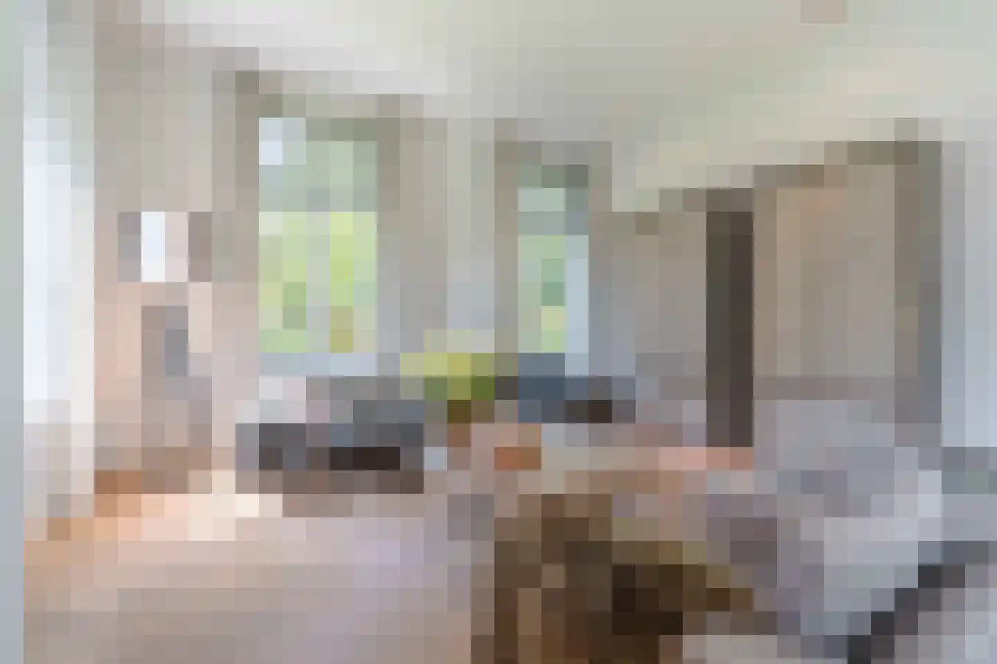 Hoogbraak 48 Baarle-Nassau thumbnail 12