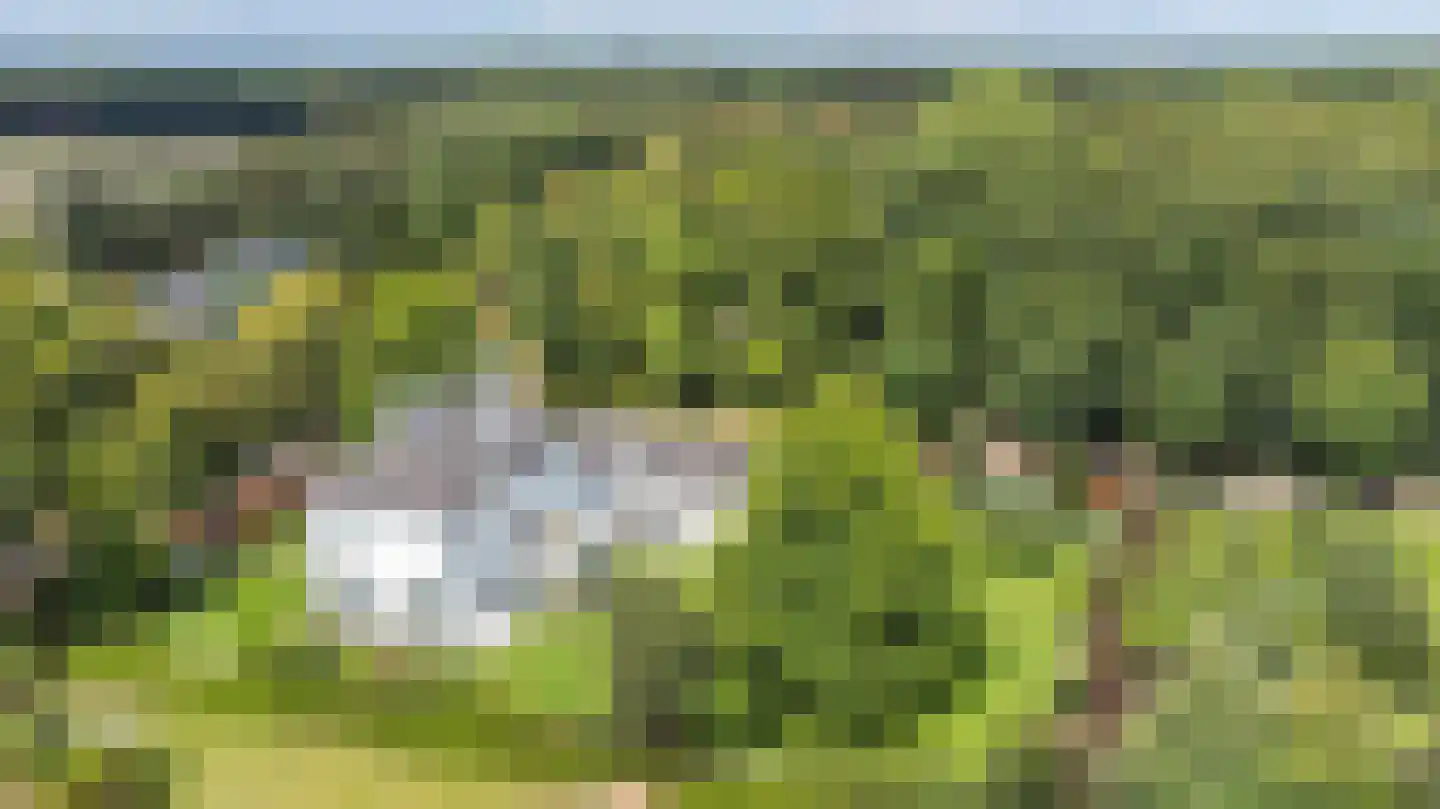 Hoogbraak 48 Baarle-Nassau thumbnail 62