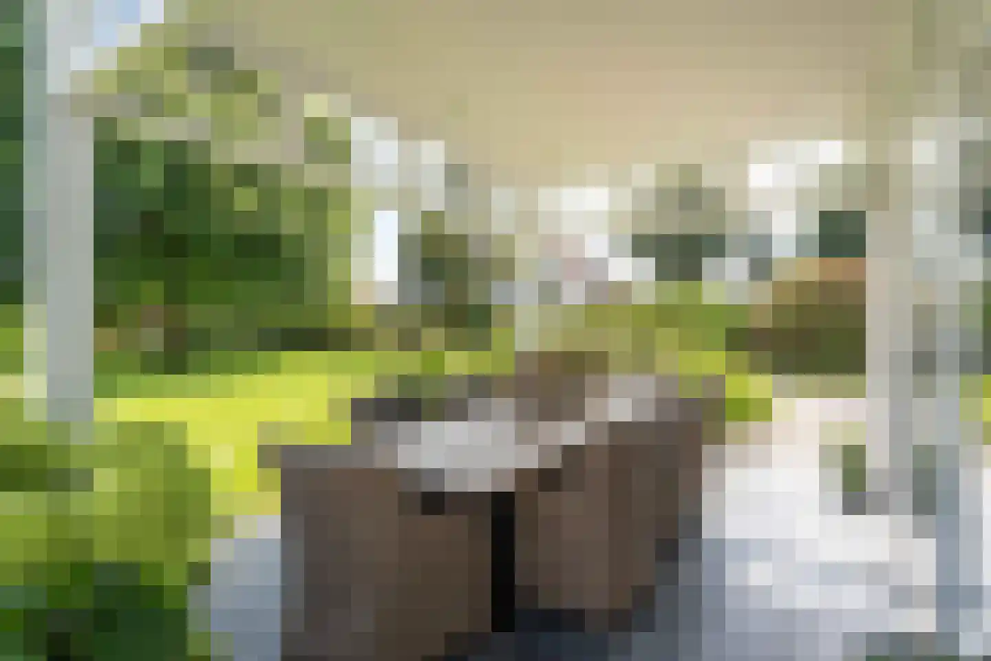 Hoogbraak 48 Baarle-Nassau thumbnail 70