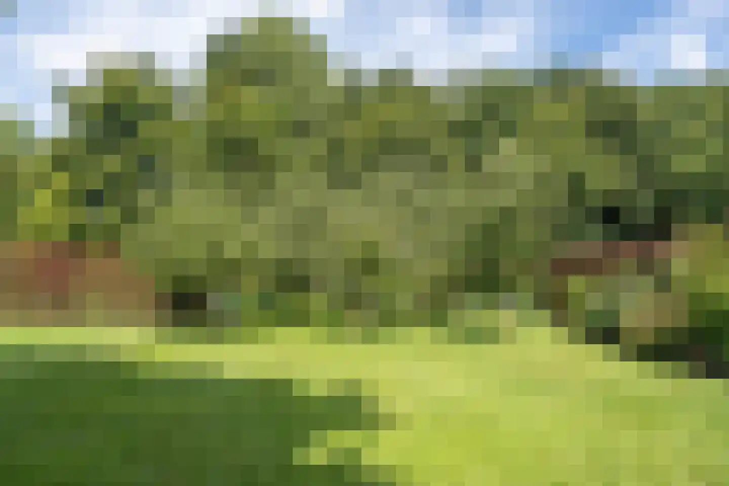 Hoogbraak 48 Baarle-Nassau thumbnail 71