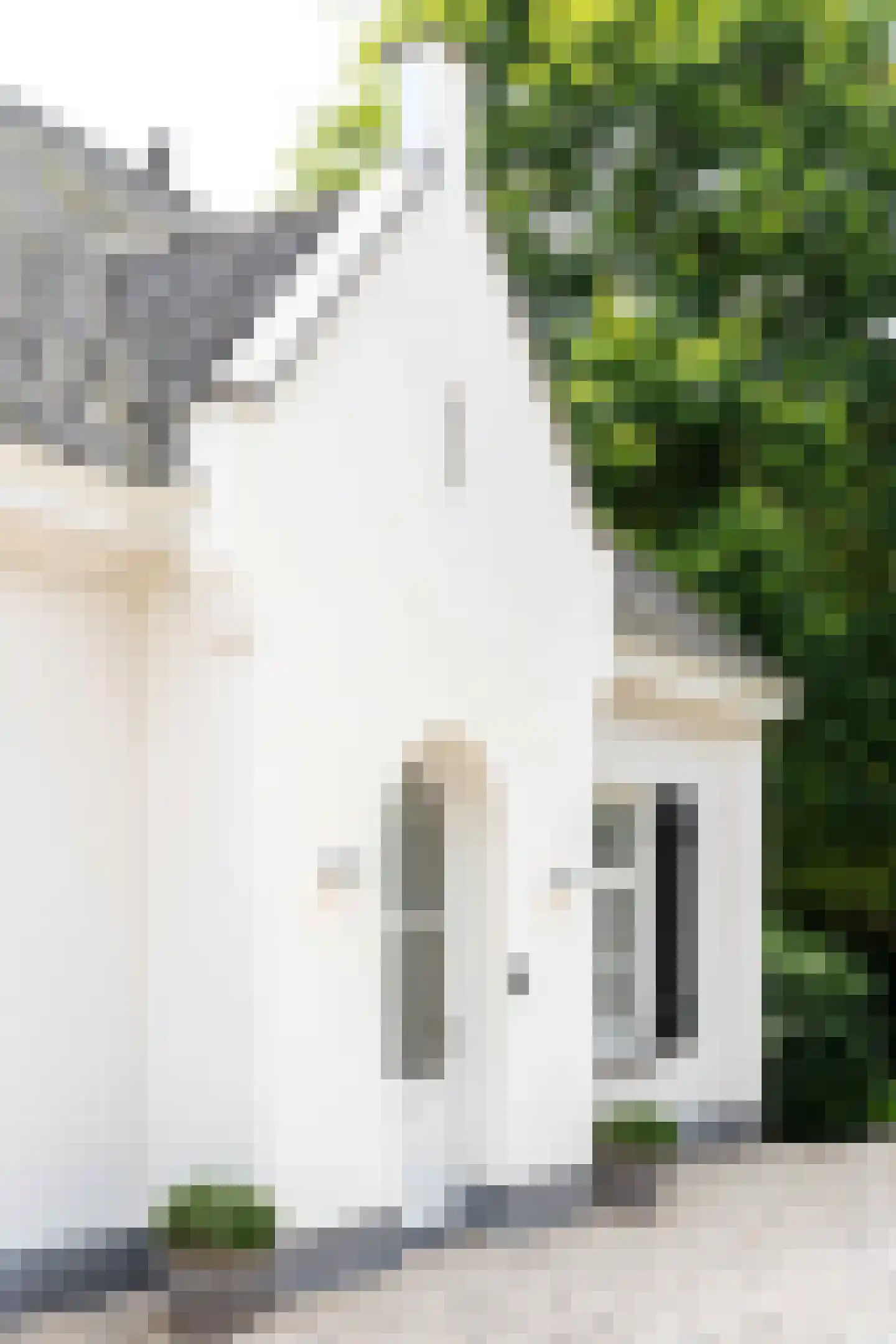 Hoogbraak 48 Baarle-Nassau thumbnail 80