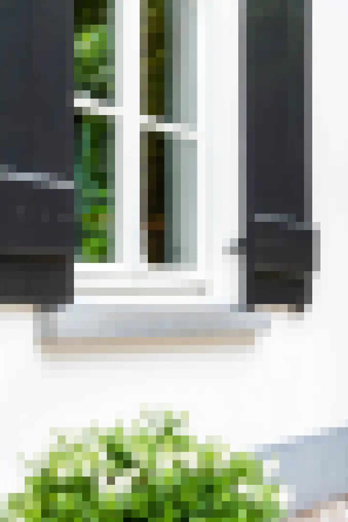 Hoogbraak 48 Baarle-Nassau thumbnail 90