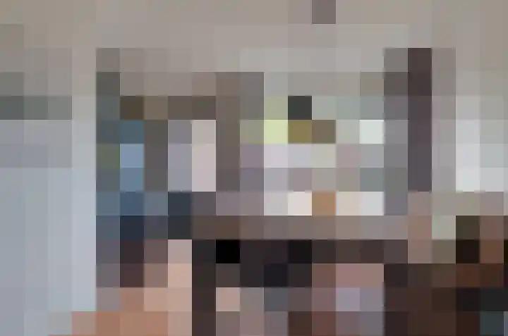 Hoogbree 18 Assen thumbnail 10