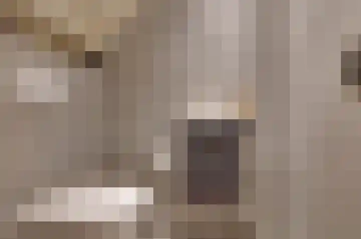 Hoogbree 18 Assen thumbnail 15
