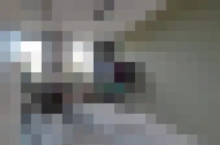 Hoogbree 18 Assen thumbnail 16