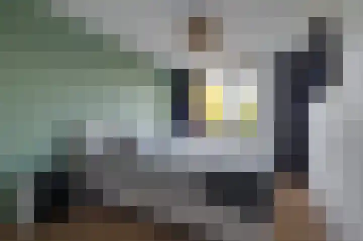 Hoogbree 18 Assen thumbnail 19