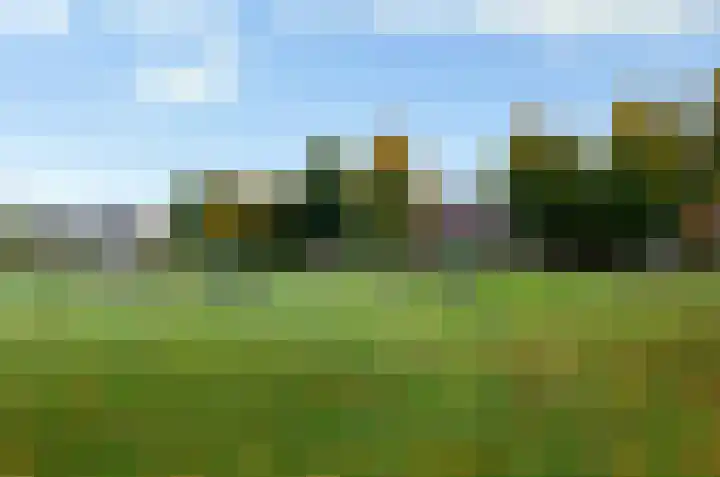 Hoogbree 18 Assen thumbnail 4