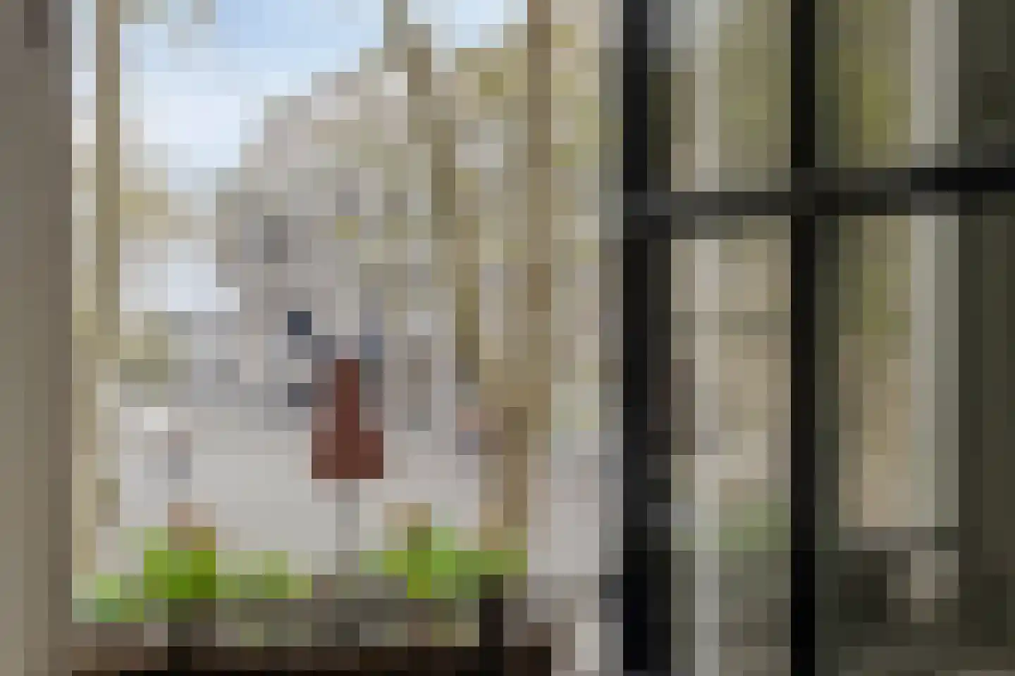 Hoogbrugstraat 51 Maastricht thumbnail 12