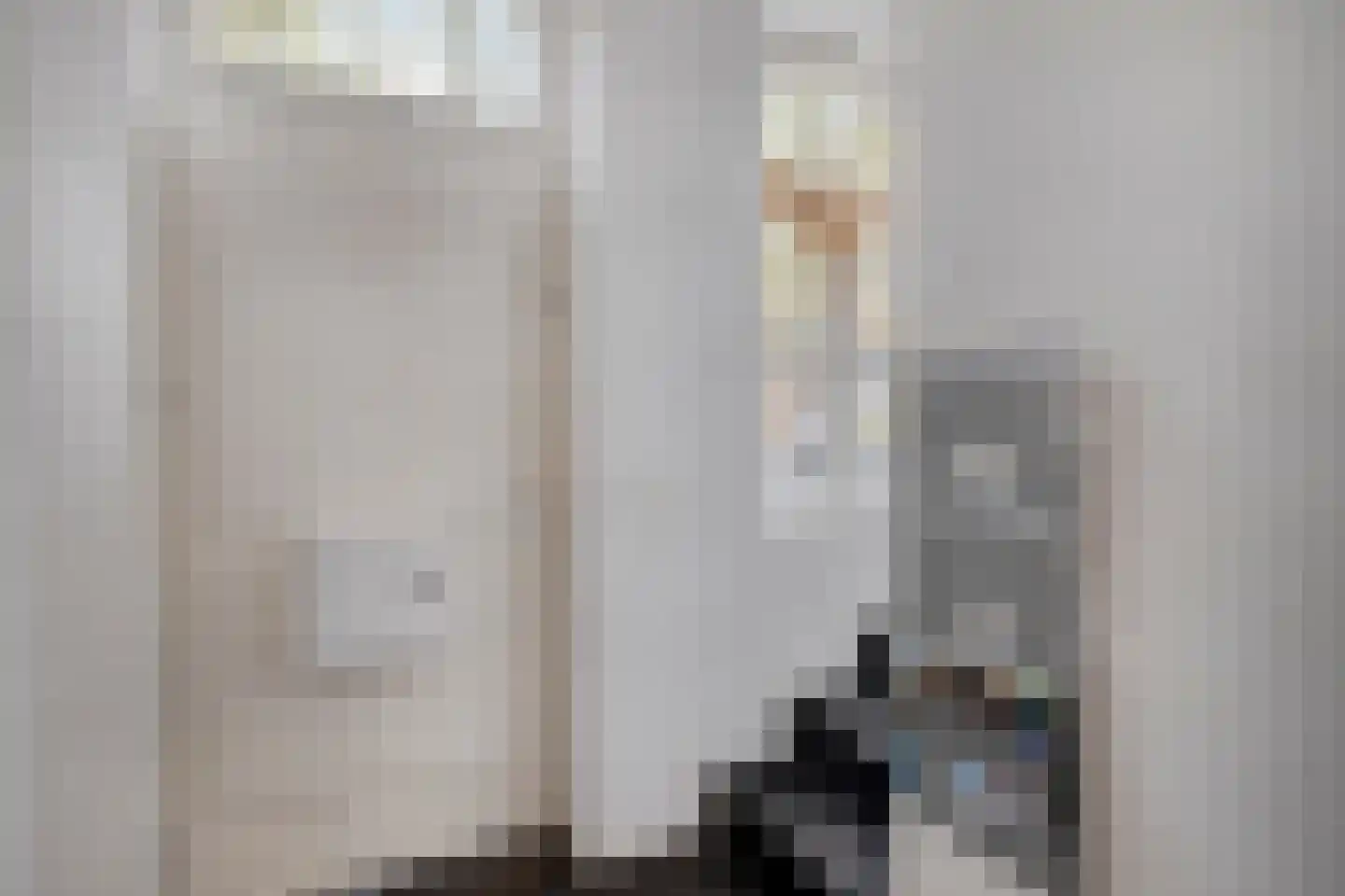 Hoogbrugstraat 51 Maastricht thumbnail 5