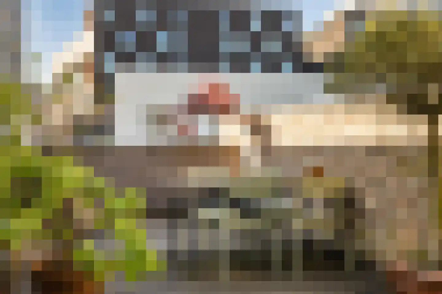 Hoogbrugstraat 7 Maastricht thumbnail 33