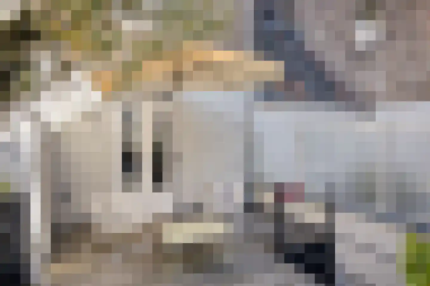 Hoogbrugstraat 7 Maastricht thumbnail 36