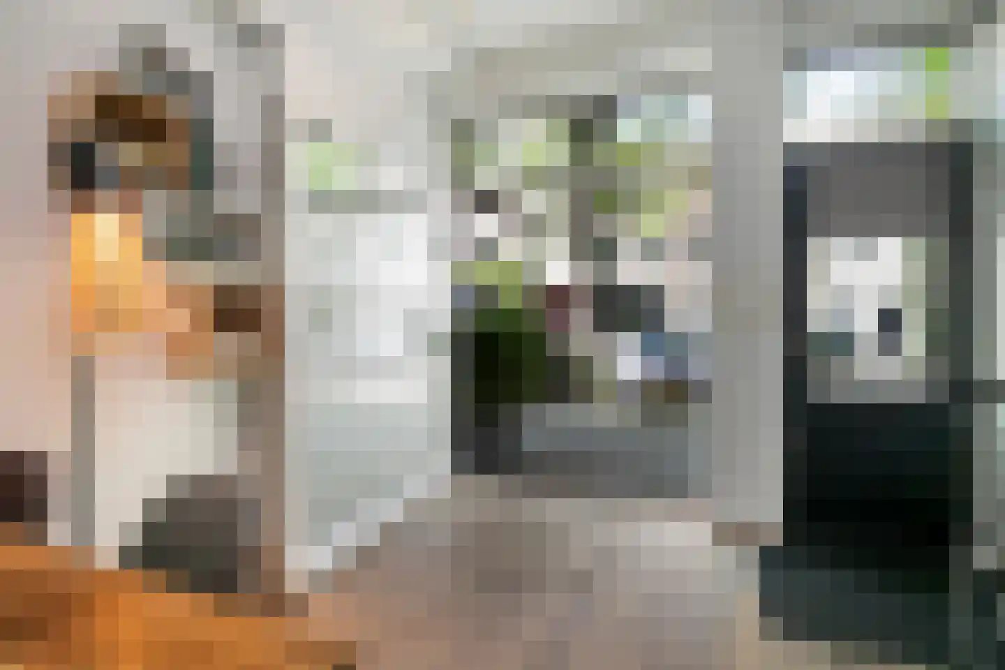 Hoogbrugstraat 7 Maastricht thumbnail 37