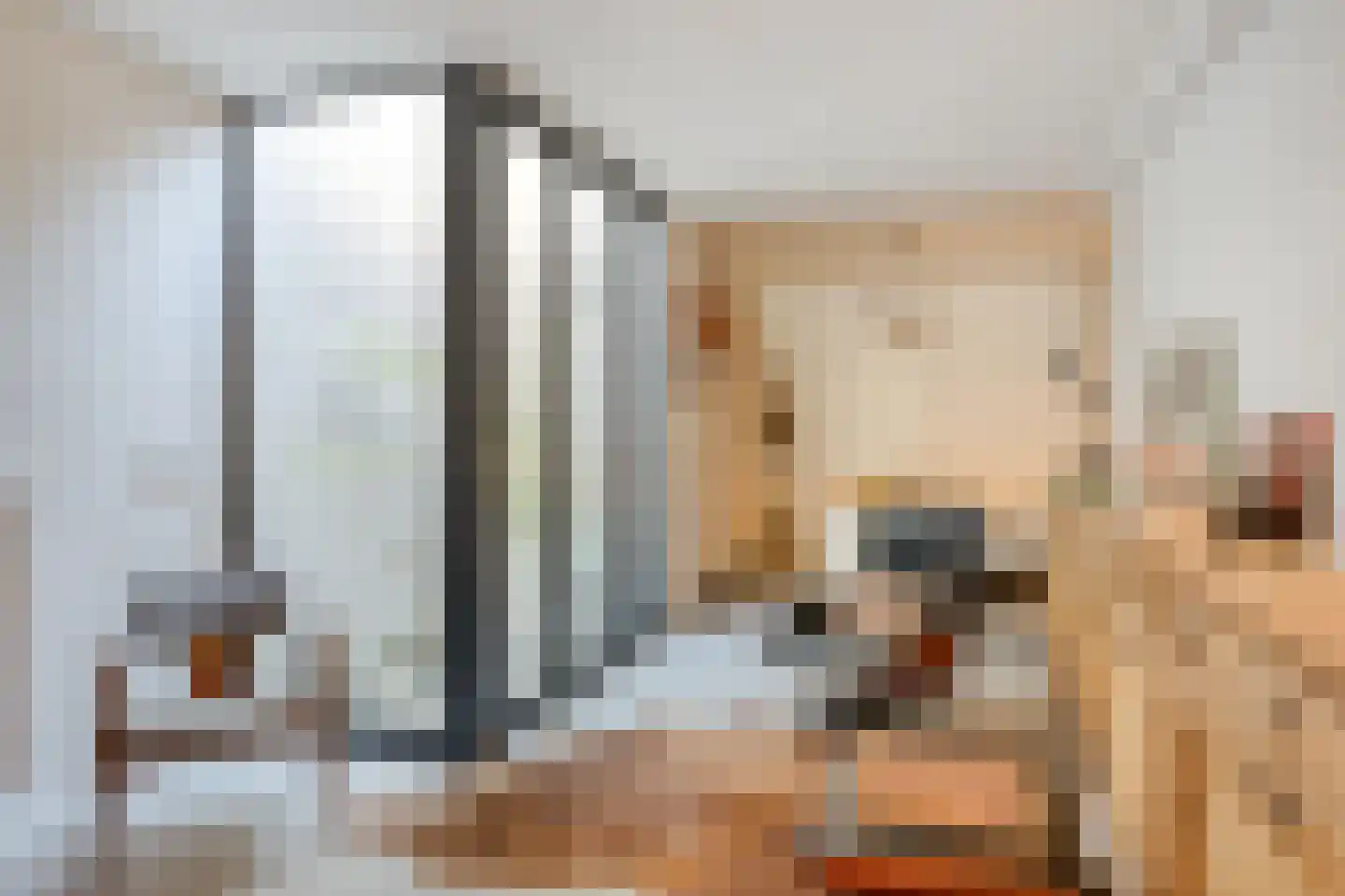Hoogbrugstraat 7 Maastricht thumbnail 6