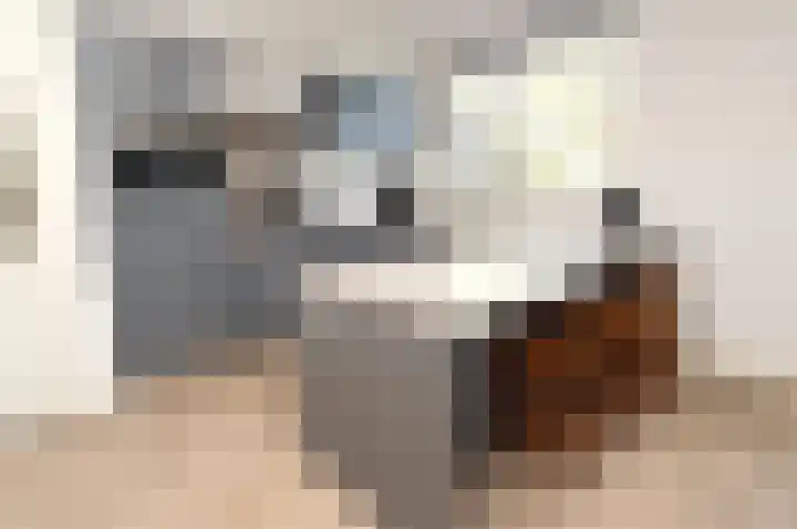 Hoogcruts 14 60 Noorbeek thumbnail 11