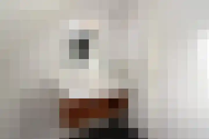 Hoogcruts 14 60 Noorbeek thumbnail 24