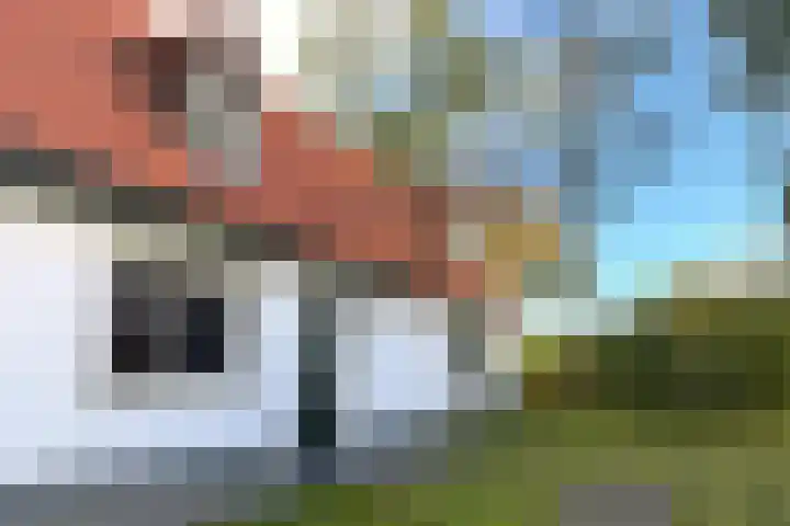 Hoogcruts 14 60 Noorbeek thumbnail 4