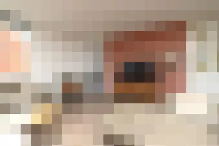 Hoogcruts 14 60 Noorbeek thumbnail 8