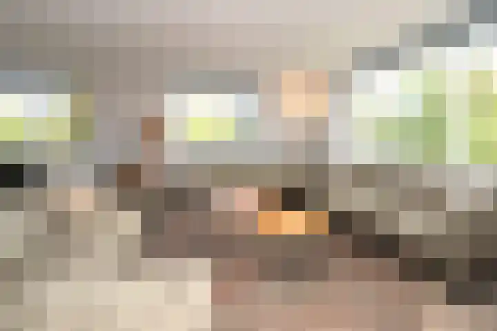 Hoogcruts 14 60 Noorbeek thumbnail 9