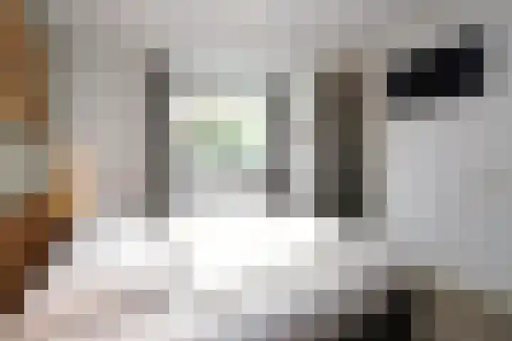 Hoogcruts 14 8 Noorbeek thumbnail 13