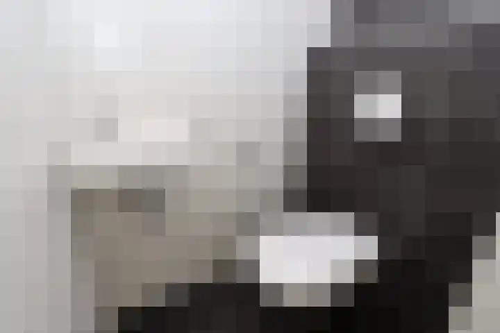 Hoogcruts 14 8 Noorbeek thumbnail 15