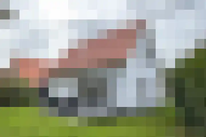 Hoogcruts 14 8 Noorbeek foto 3