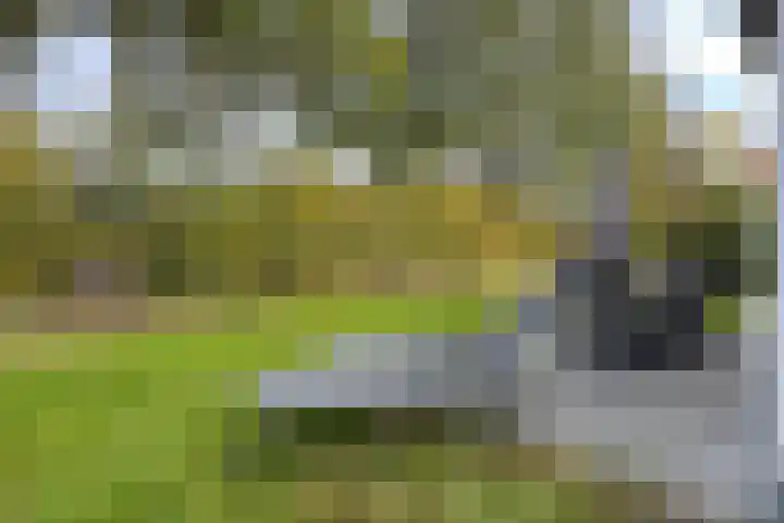Hoogcruts 14 8 Noorbeek thumbnail 4