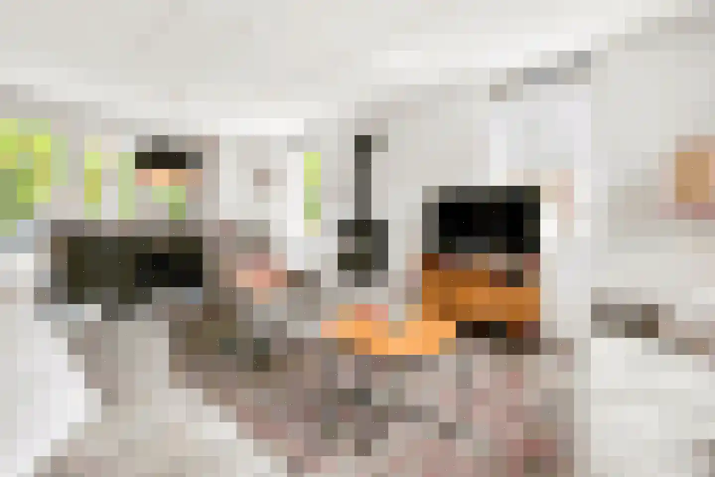 Hoogcruts 14 A37 Noorbeek thumbnail 7