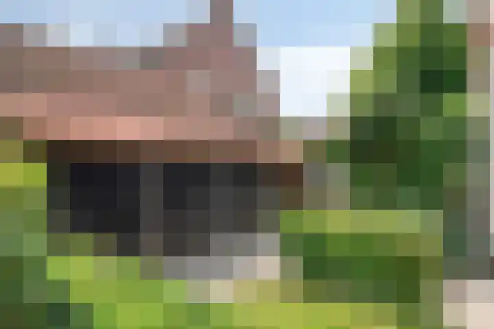 Hoogdijk 18 Oost West en Middelbeers thumbnail 47