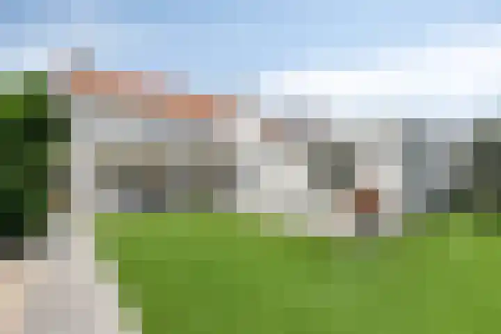 Hoogdijk 18 Oost West en Middelbeers thumbnail 5