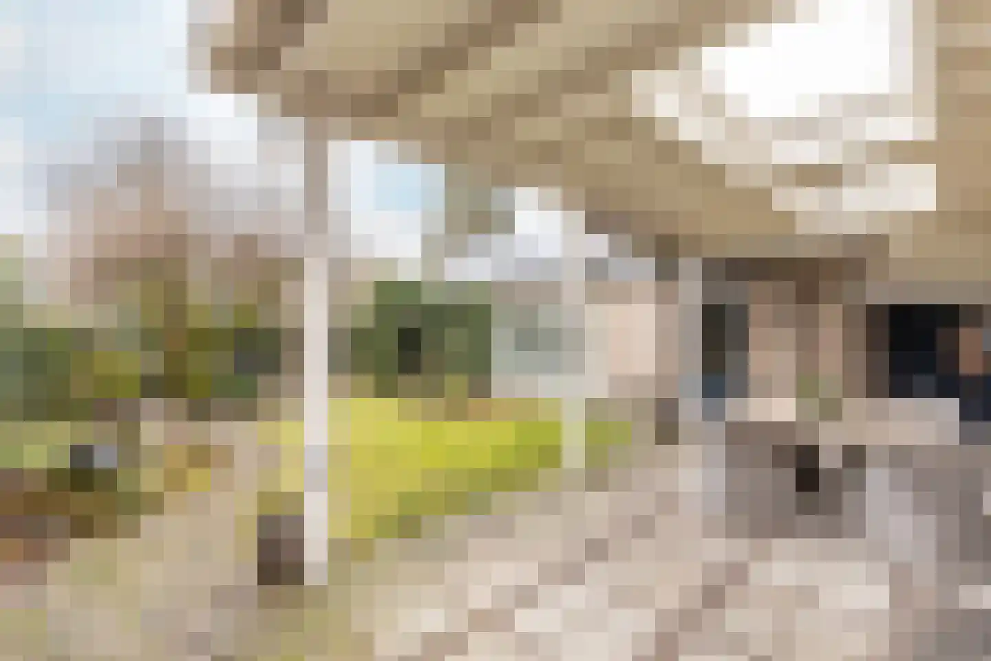 Hoogdijk 39 Oost West en Middelbeers thumbnail 34